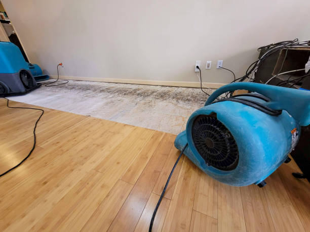 Professional Basement Flood Cleanup technician working in Oakdale, CA